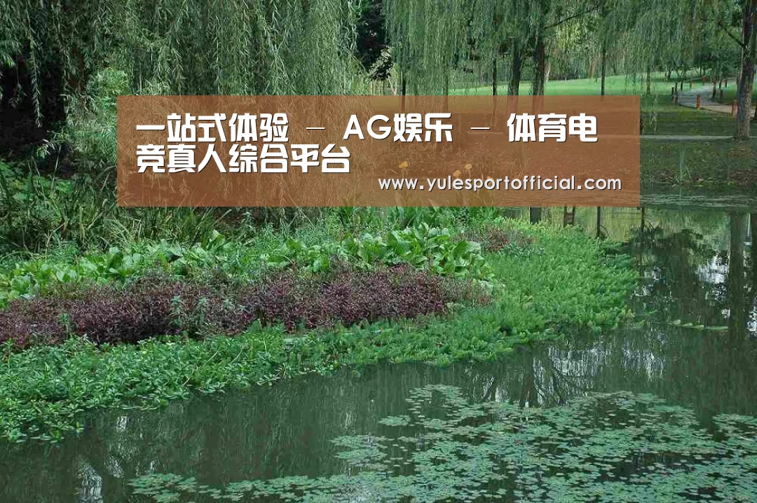 案例展示一(图1)