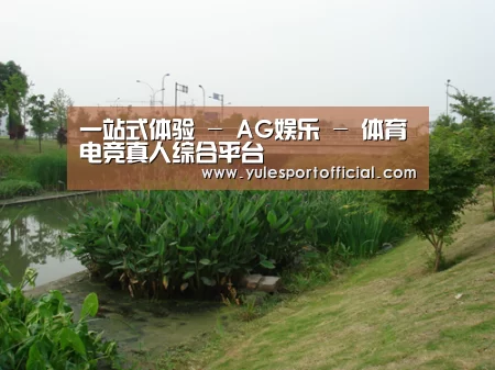 案例展示四(图1)