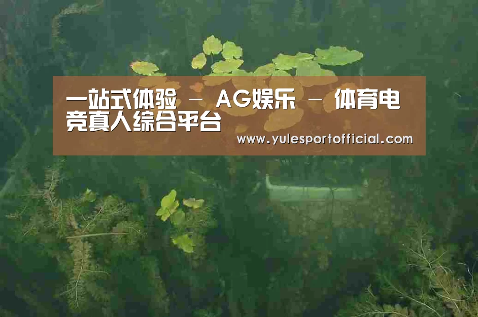 案例展示三(图1)