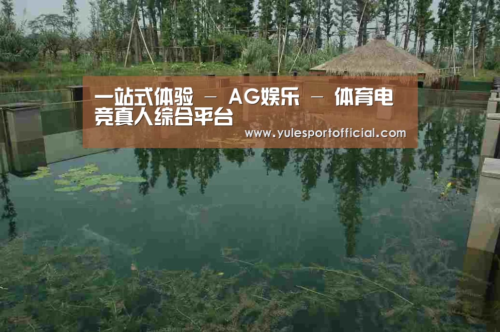 案例展示二(图1)