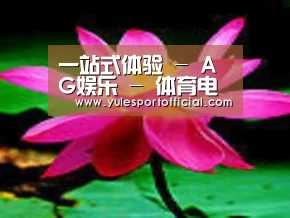 产品名称五