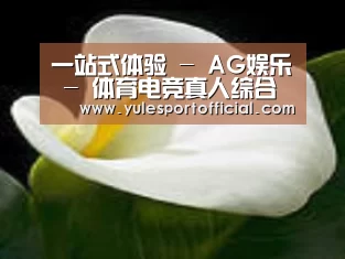 产品名称七