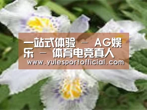 产品名称二