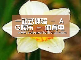 产品名称四
