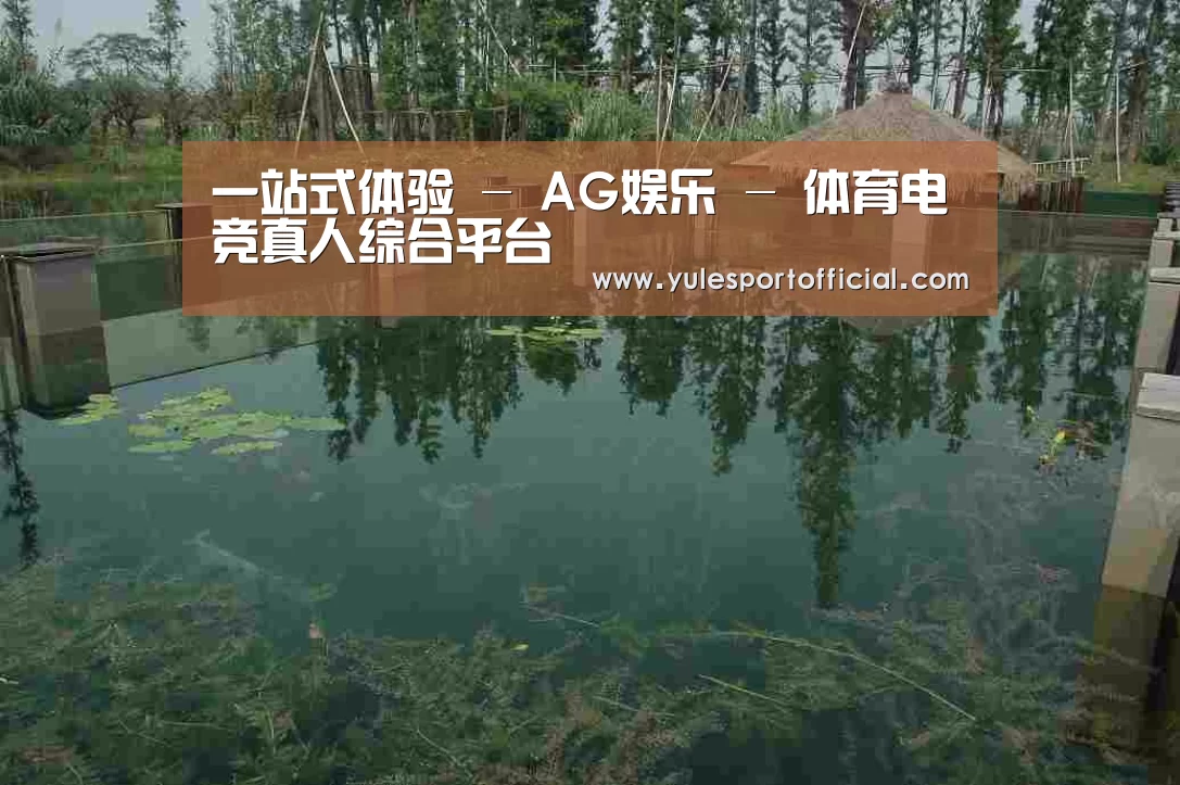 案例展示二