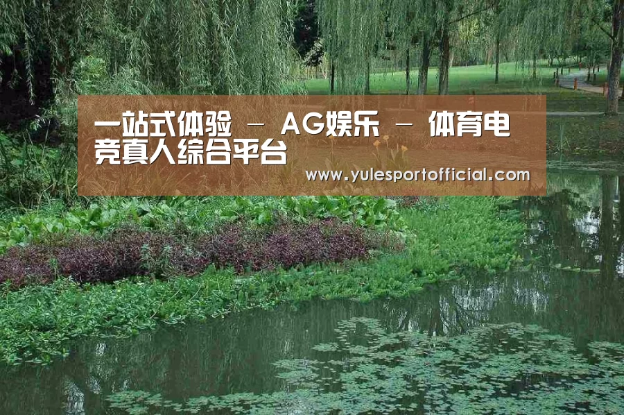 案例展示一