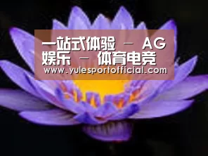产品名称六