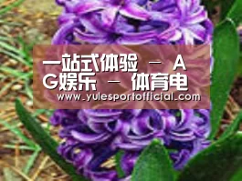 产品名称八