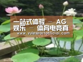 产品名称一