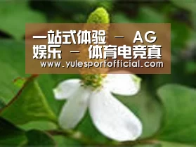产品名称三