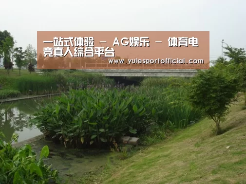 案例展示四