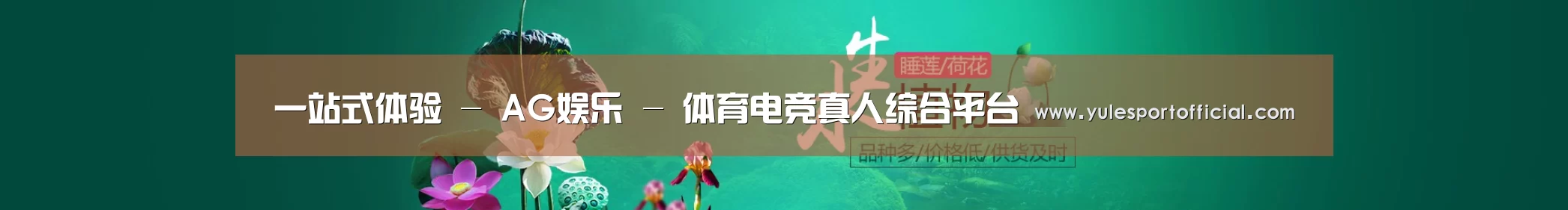 鲜花水草花卉网站模板