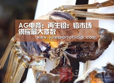 AG电竞:再生铅:铅市场供应最大变数(图1) AG娱乐