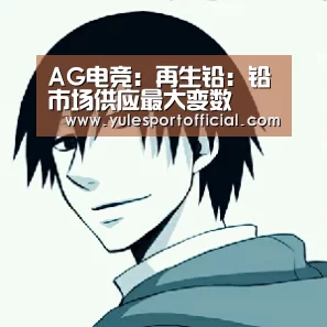 AG电竞:再生铅:铅市场供应最大变数(图2) AG电竞