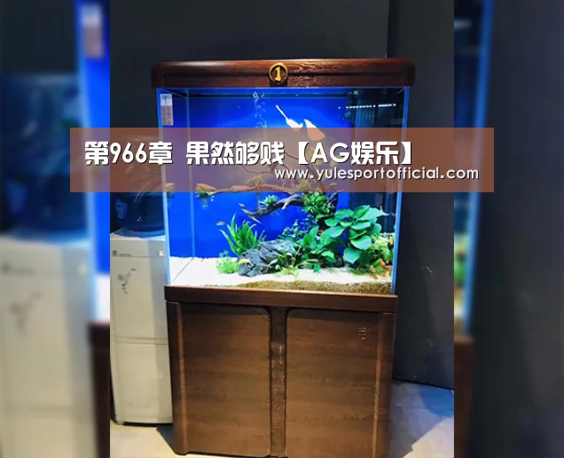 AG娱乐