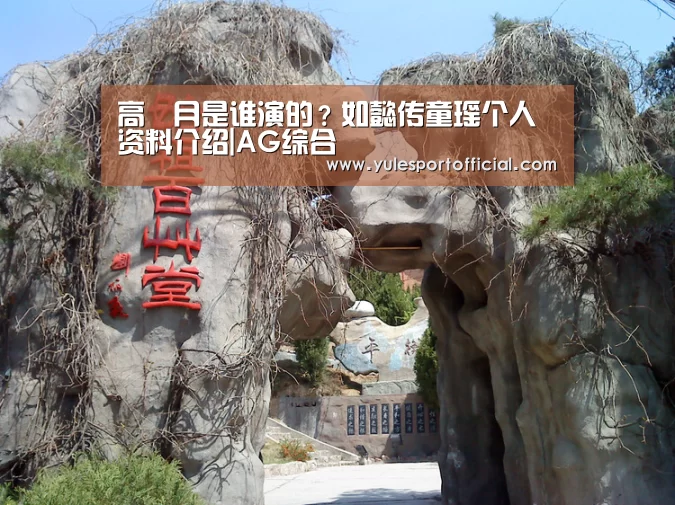 高晞月是谁演的?如懿传童瑶个人资料介绍|AG综合(图1) AG电竞