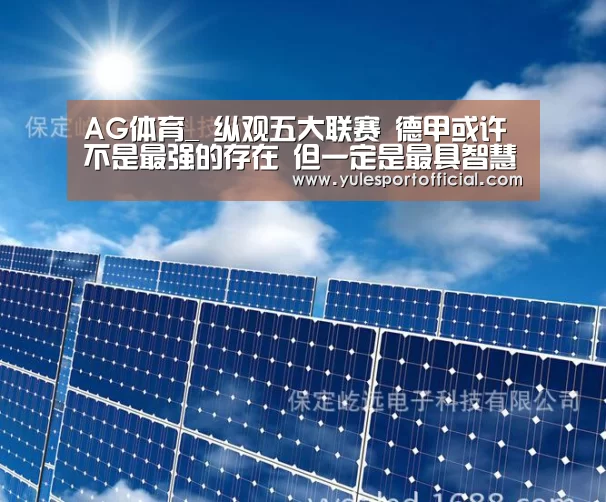AG体育_
纵观五大联赛 德甲或许不是最强的存在 但一定是最具智慧的代表(图1) AG电竞