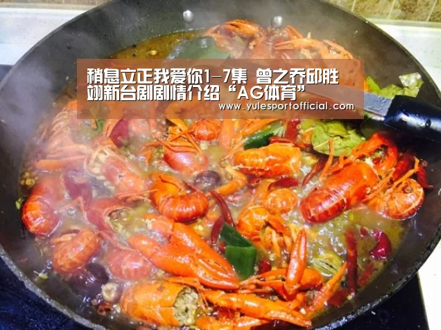 稍息立正我爱你1-7集 曾之乔邱胜翊新台剧剧情介绍“AG体育”(图1) AG娱乐